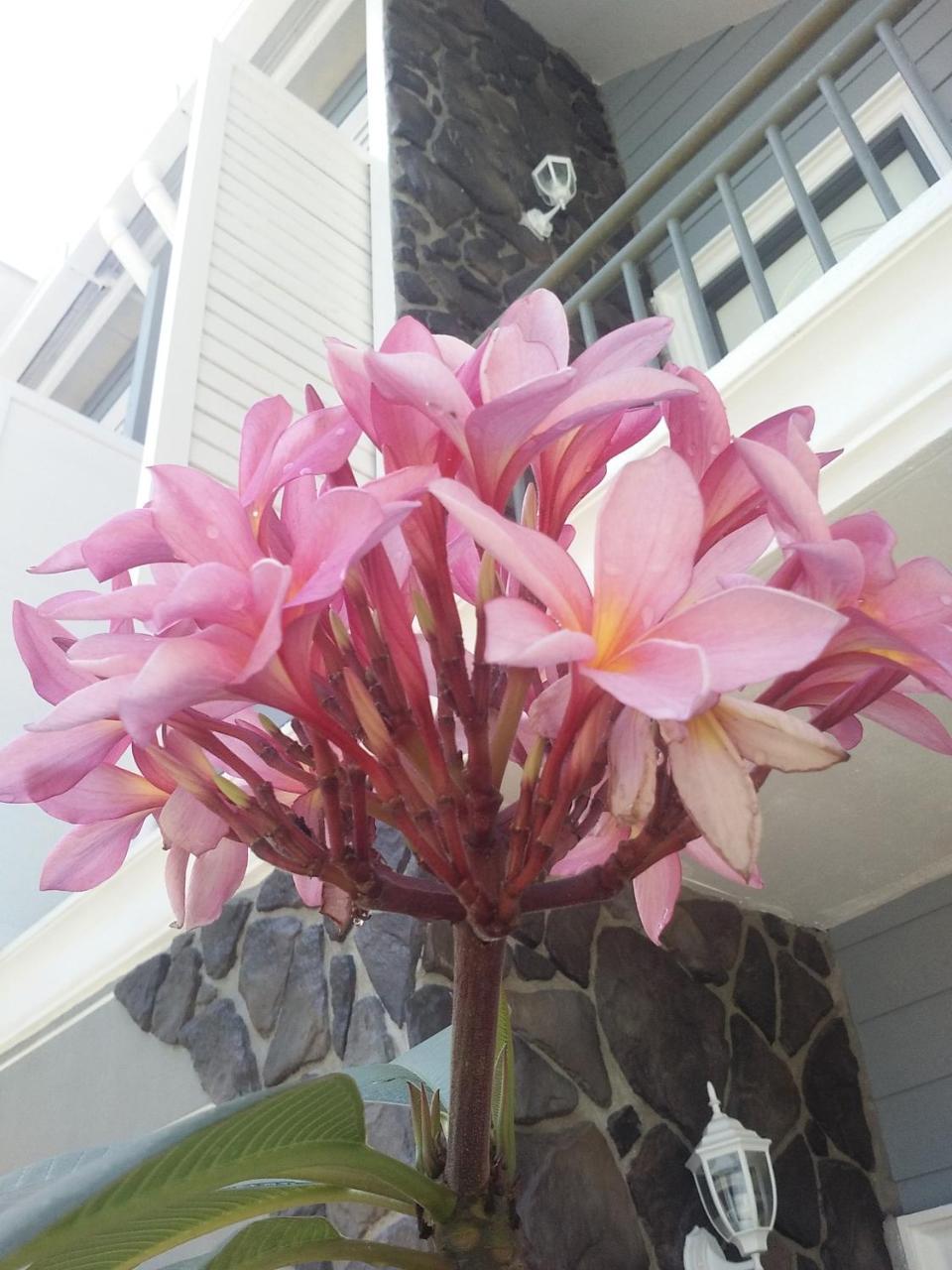 Royale Chenang Resort Pantai Cenang  Exterior photo